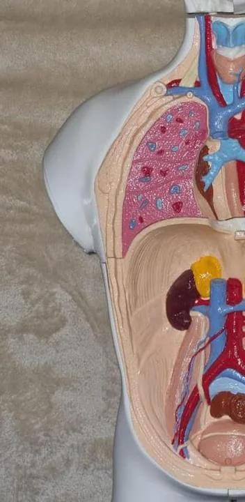 التصميم للتصنيع بالإضافة